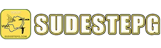 sudestepg.com